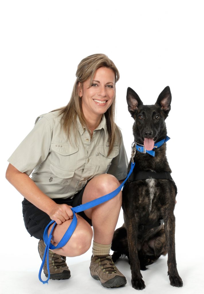 Bug store sniffing dog