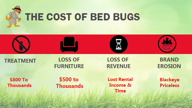 the cost of bed bugs